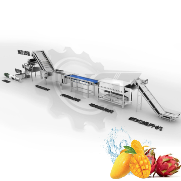 Small-Scale Fresh Fruit Juice Processing Plant نبات معالجة عصير الفاكهة الطازج على نطاق صغير