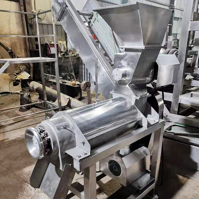 مصنع معالجة الزنجبيل